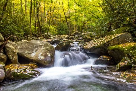 A cascade pouring between mossy boulders