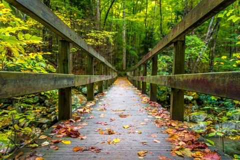 A wooden footbridge dusted with fallen leaves