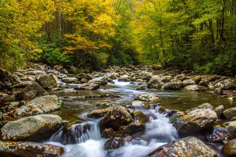 The river running full beneath fall color