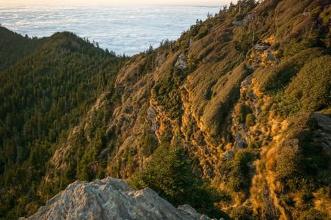 Golden evening light raking the mountain's flank