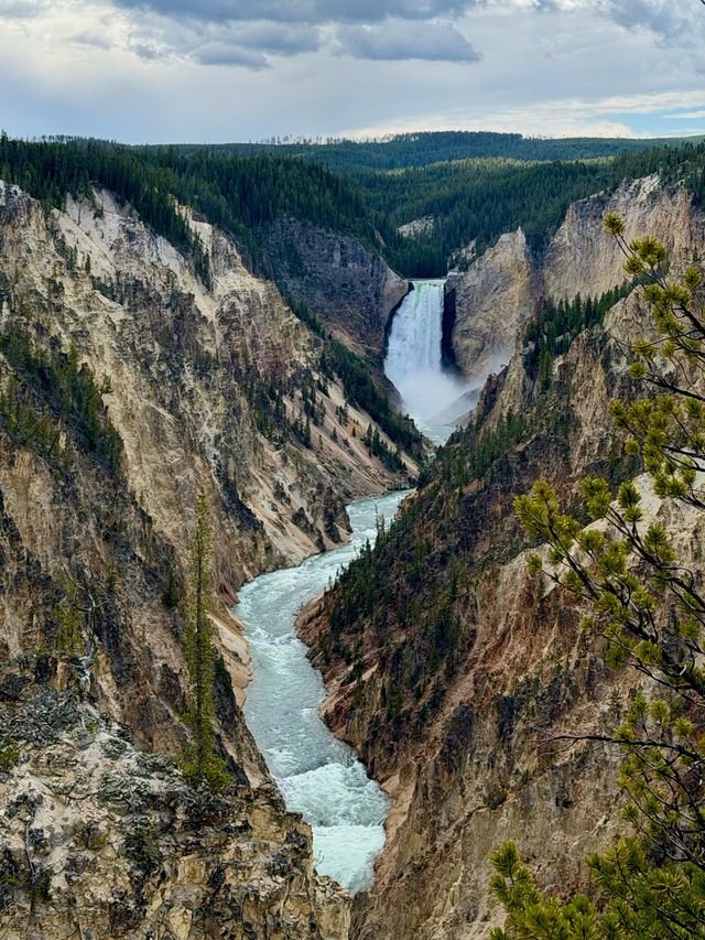 Lower Falls pouring into the Grand Canyon of the Yellowstone, turquoise river threading the gorge